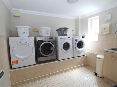 Picture 13